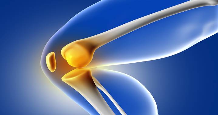 Collagen and Joint Health: Scientific Mechanisms, Clinical Benefits, and Nutritional Insights