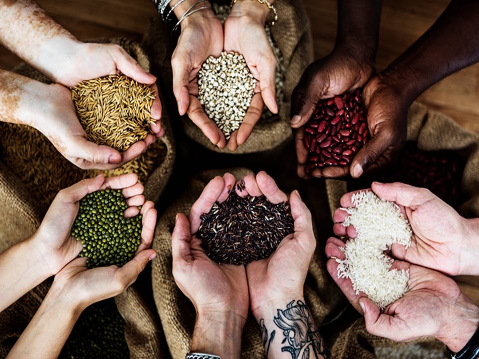 Seeds
