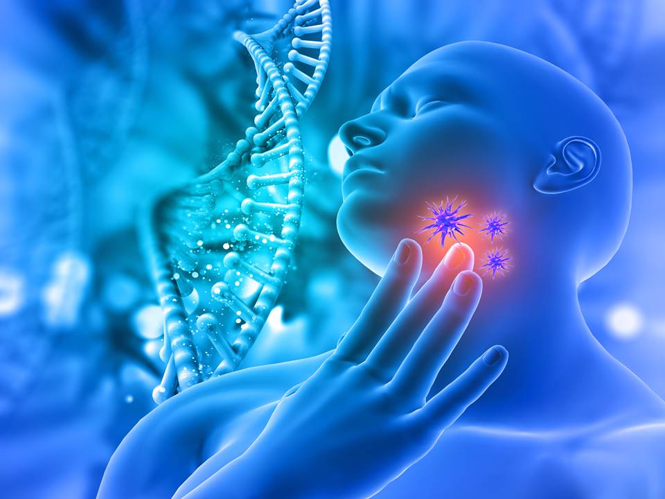 thyroid
