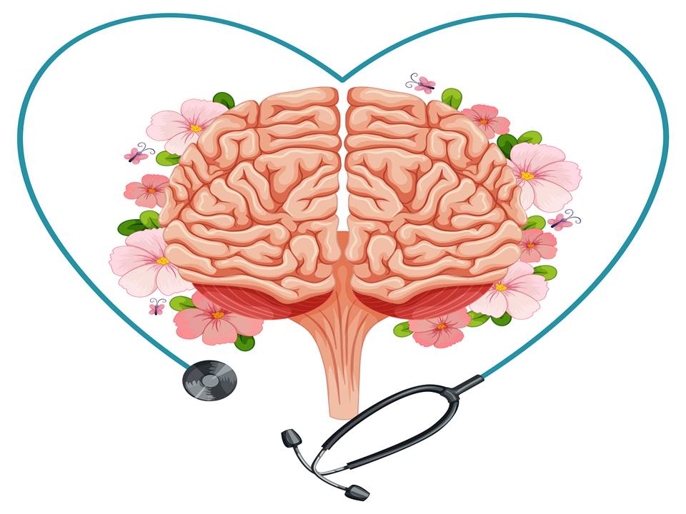 Top 6 Brain Health Supplements