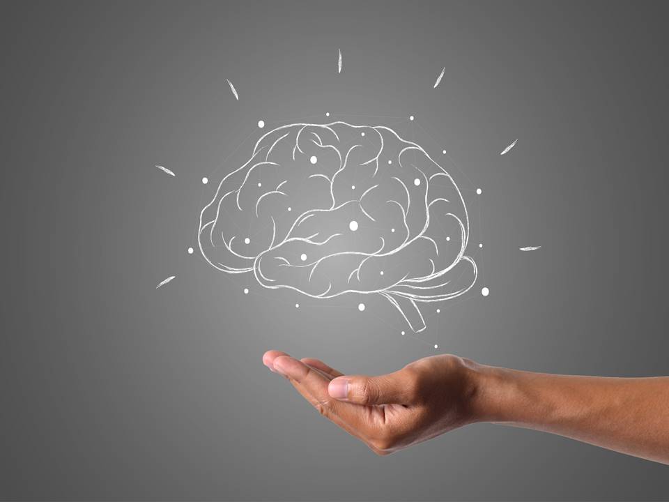 Top 6 Brain Health Supplements