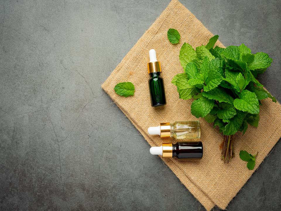 Tulsi