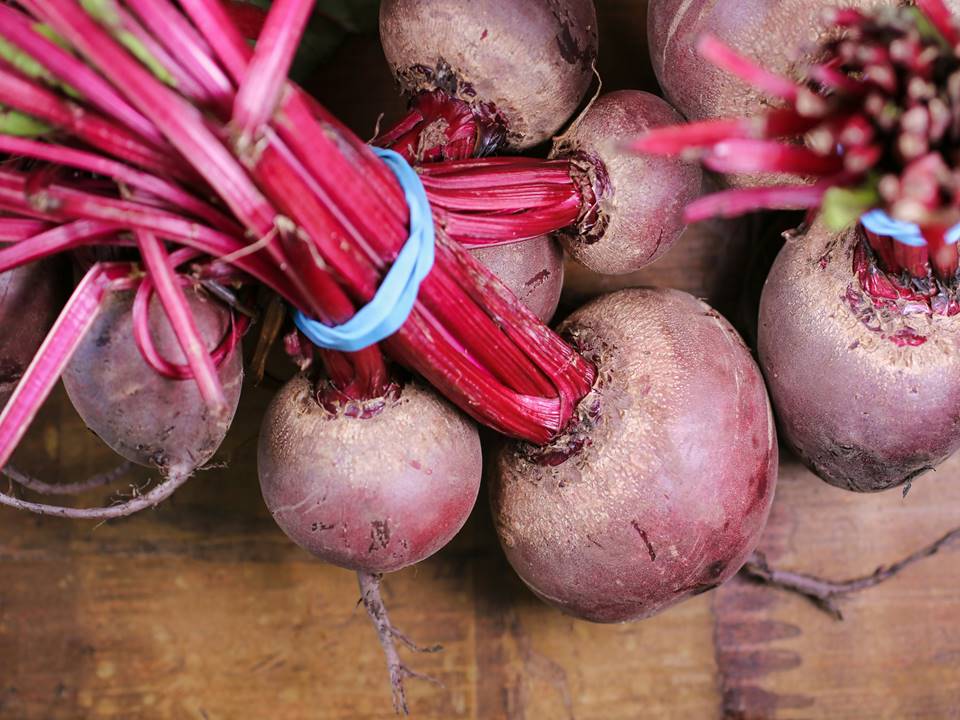 Beet root