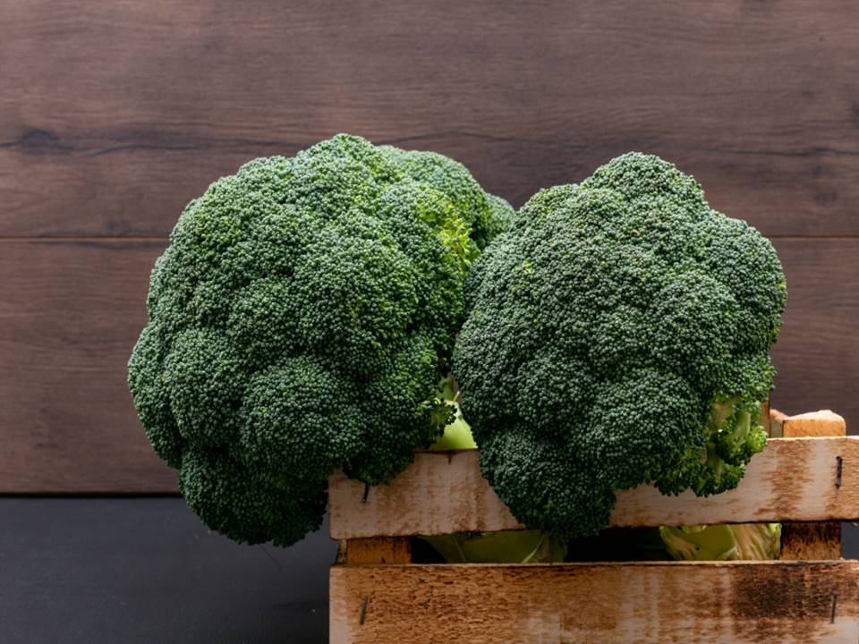 Broccoli