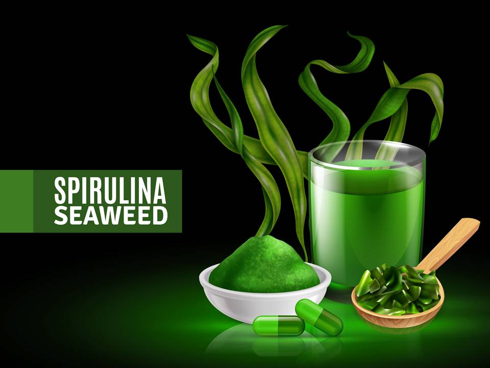 Spirulina