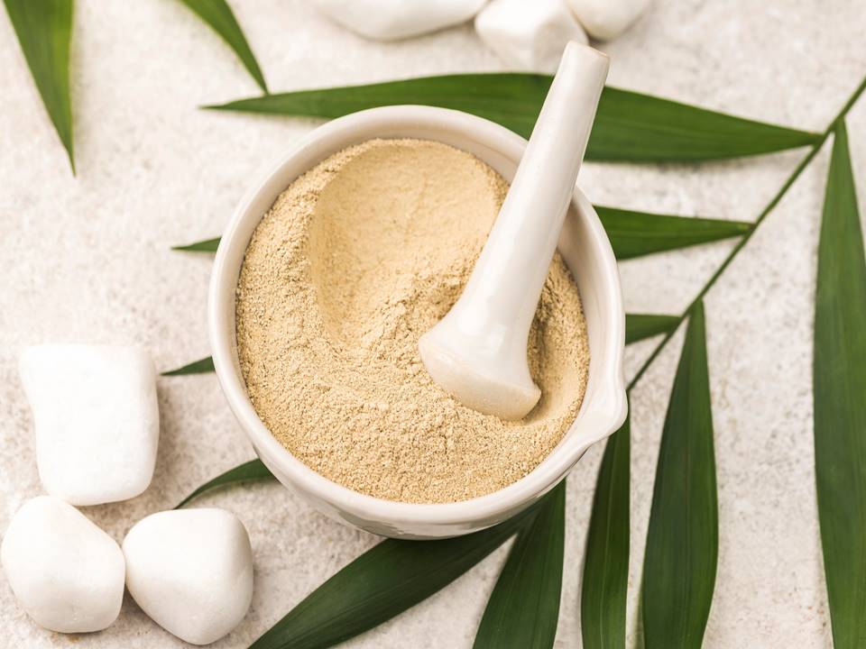 Best Supplements for Osteoporosis