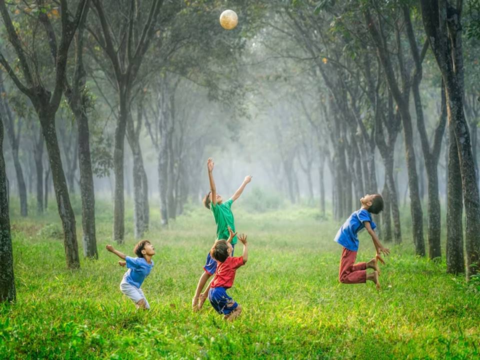 essential minerals for kids
